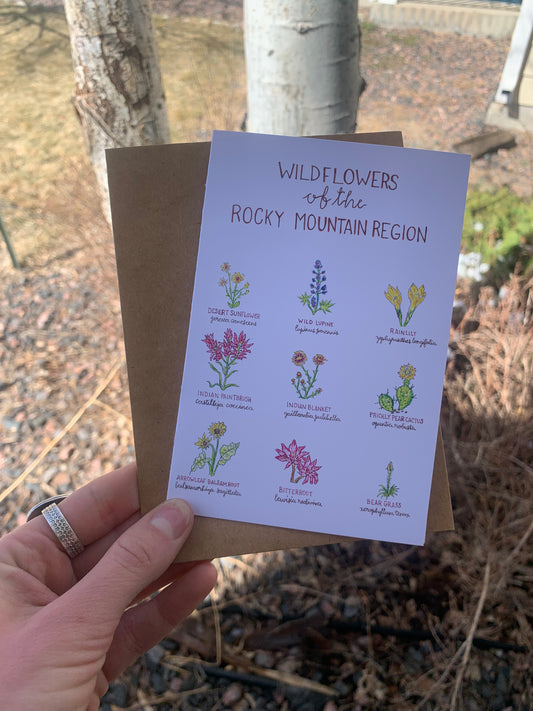 Adventurer // Greeting Card Pack