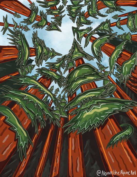 Redwoods // Print