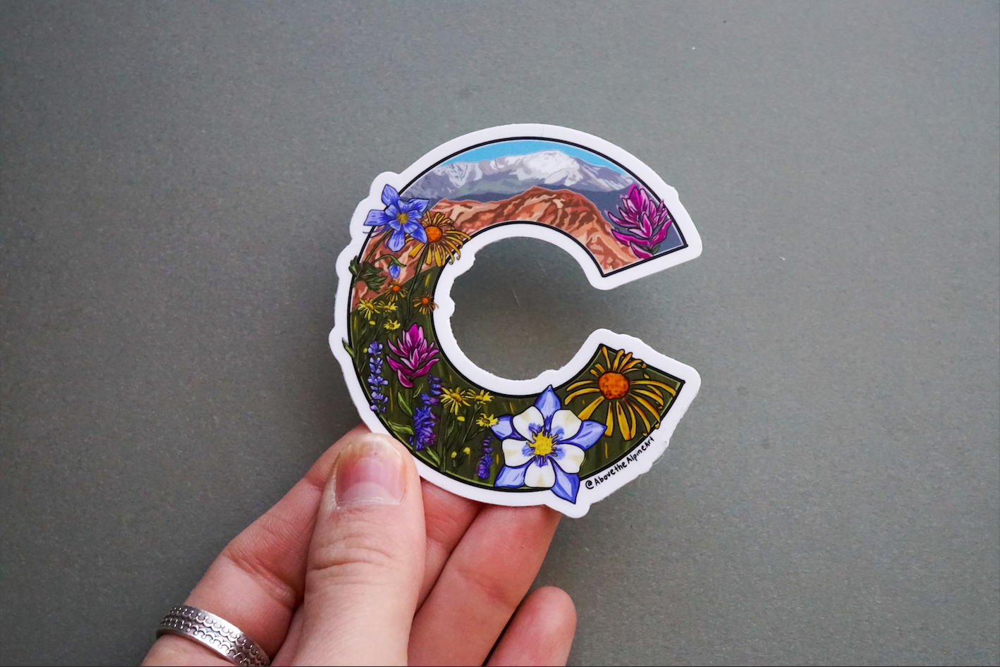 Wildflower Colorado Flag