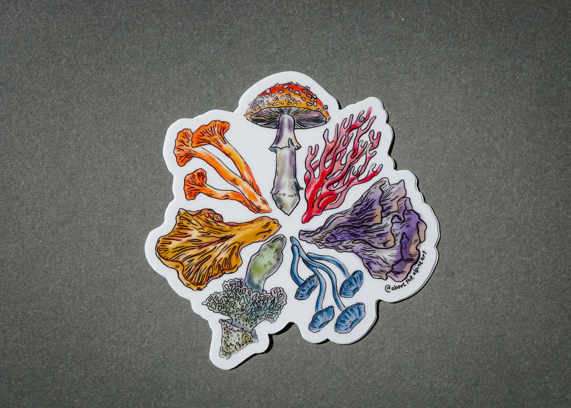 Colorful Fungi