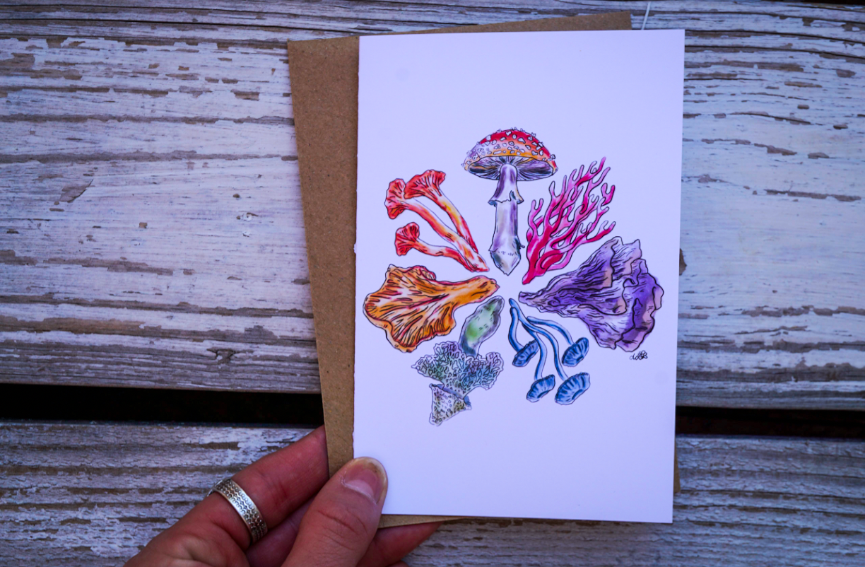 Adventurer // Greeting Card Pack