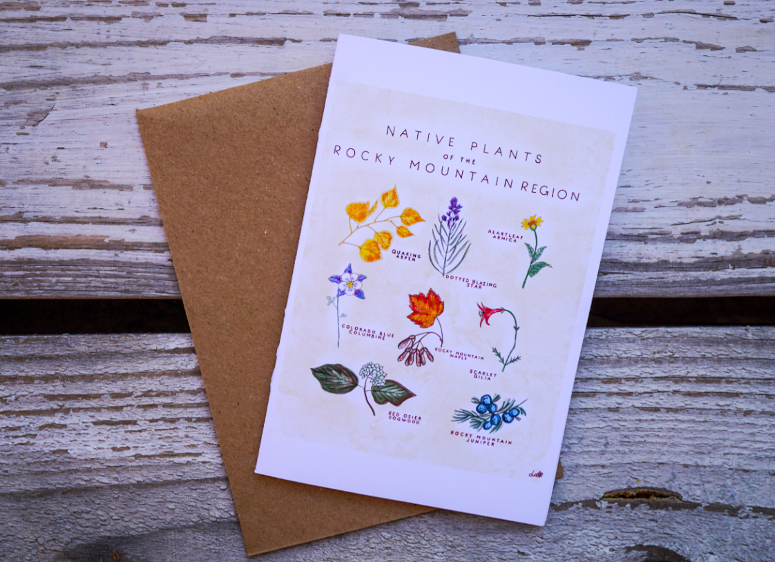 Adventurer // Greeting Card Pack