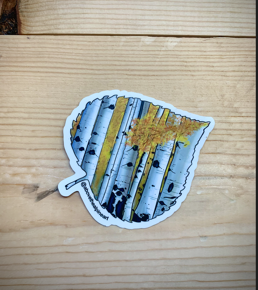 Colorado Aspen Sticker