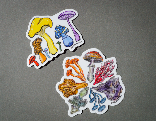 Fungi Magnets // Magnet Pack