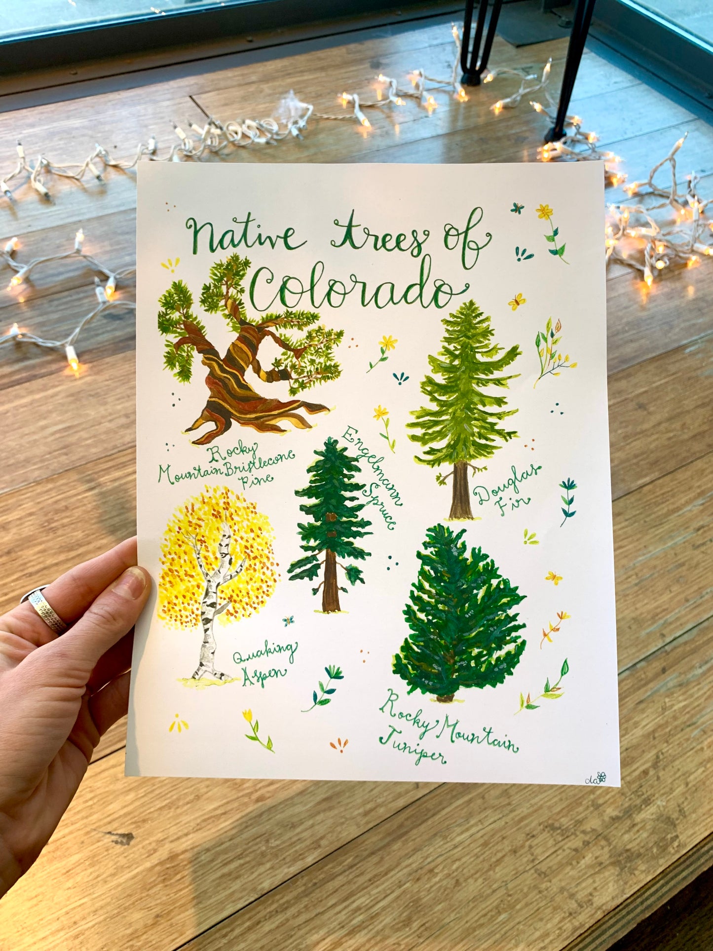 Native Trees of Colorado // Print