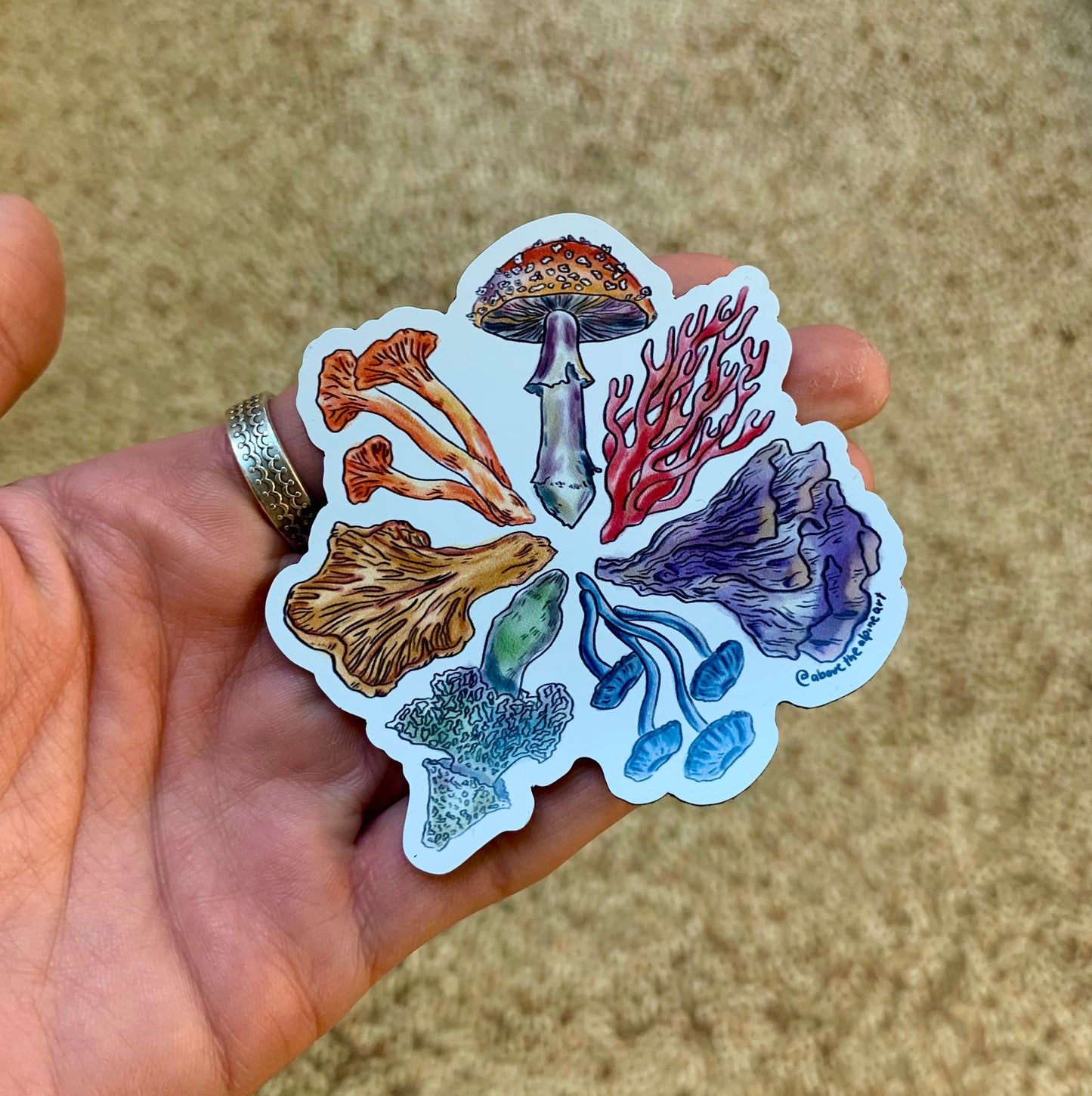 Colorful Fungi // Magnet