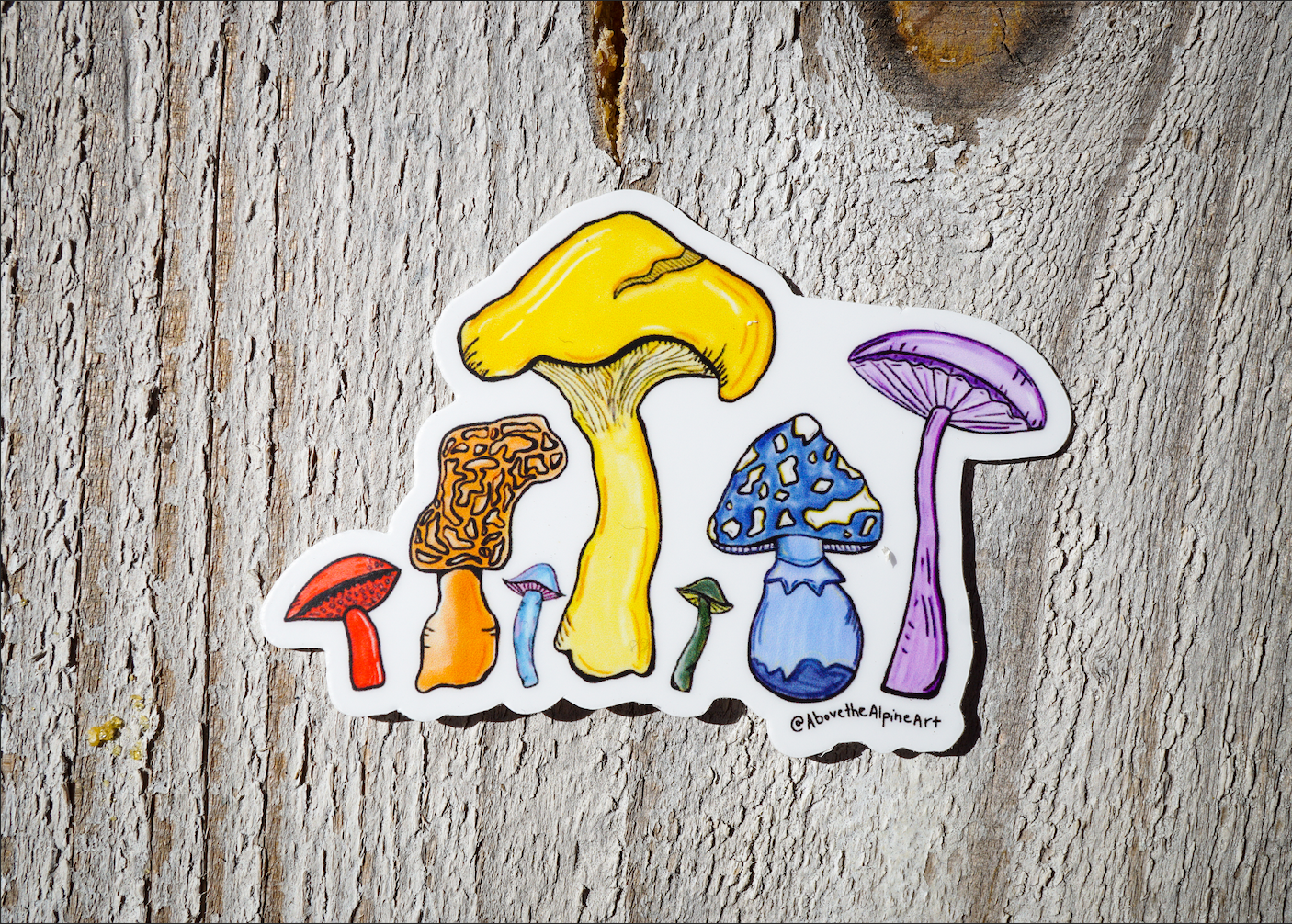 Pride Fungi // Magnet