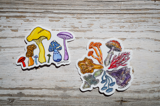 Fungi Magnets // Magnet Pack