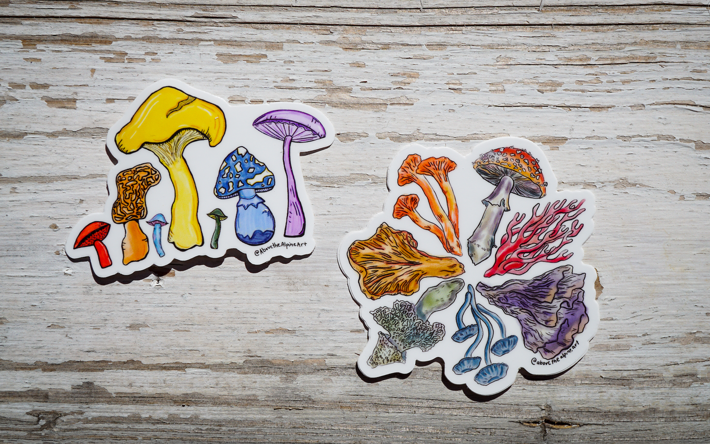 Mushrooms // Sticker Pack