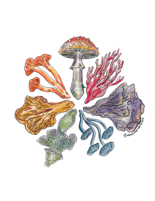 Colorful Fungi // Print